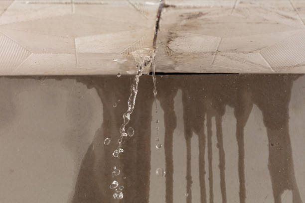 Professional Water Damage Repair technician working in Karnes City, TX